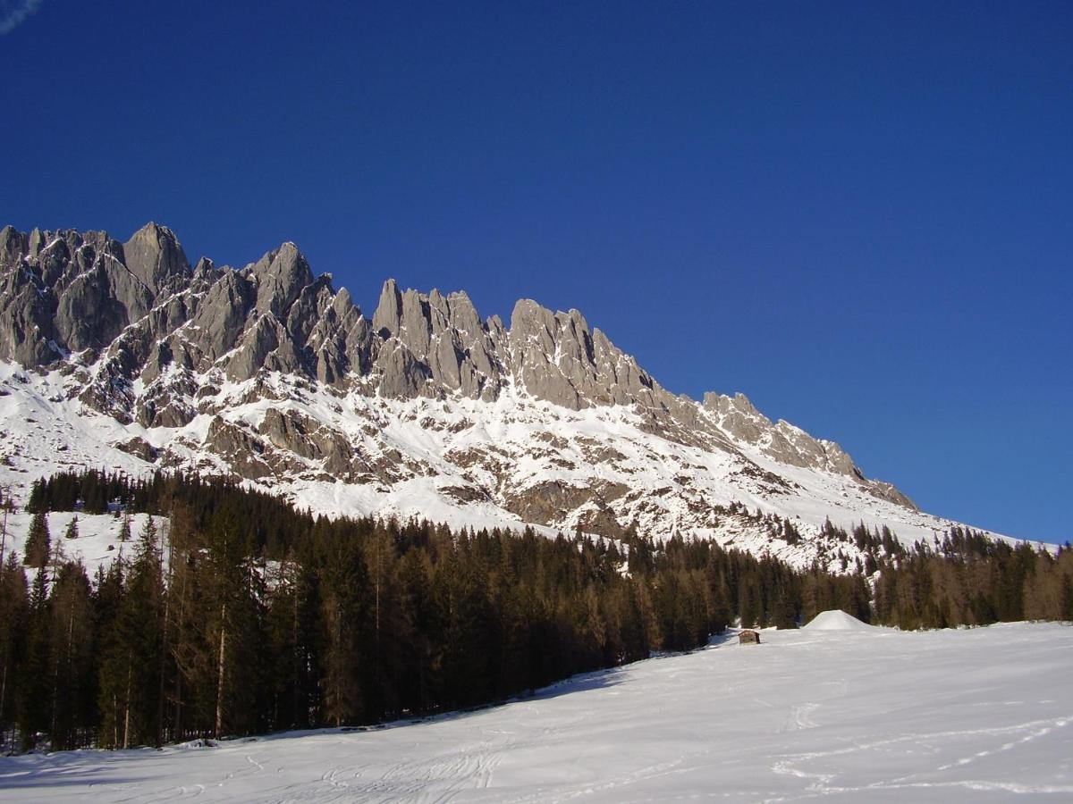 Appartementhaus Hochkoenig 1 - Alpenrose Muhlbach Am Hochkonig Room photo